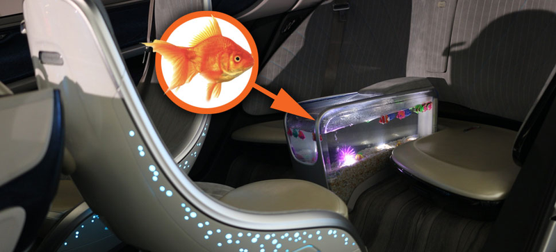 Illustration for article titled The Ten Most Ridiculous Concept Car Interiors